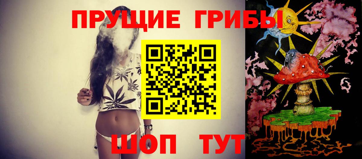 Галлюциногенные грибы прущие грибы  Вход с VPN  Железногорск  Псилоцибиновые грибы мицелий 