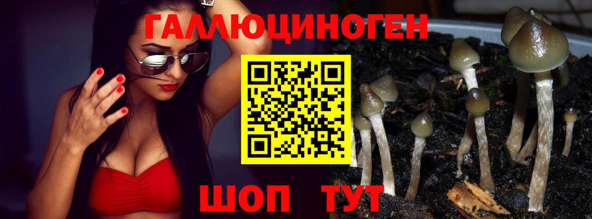 Галлюциногенные грибы мухоморы Железногорск